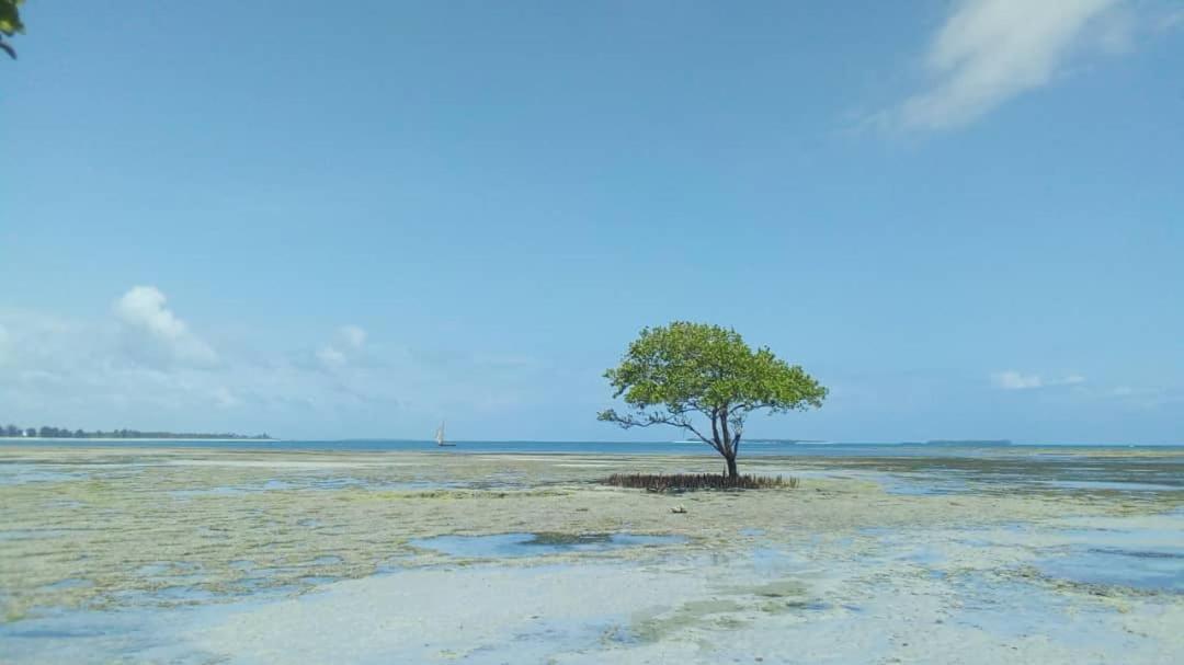 다르에스살람 L&J Modern Backpackers Kigamboni Beach House B&B 외부 사진