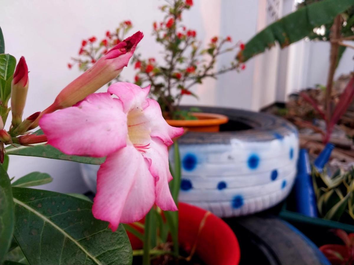 다르에스살람 L&J Modern Backpackers Kigamboni Beach House B&B 외부 사진